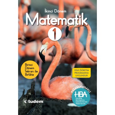 Matematik 1.Sınıf 2.Dönem Kazanım Odaklı HBA